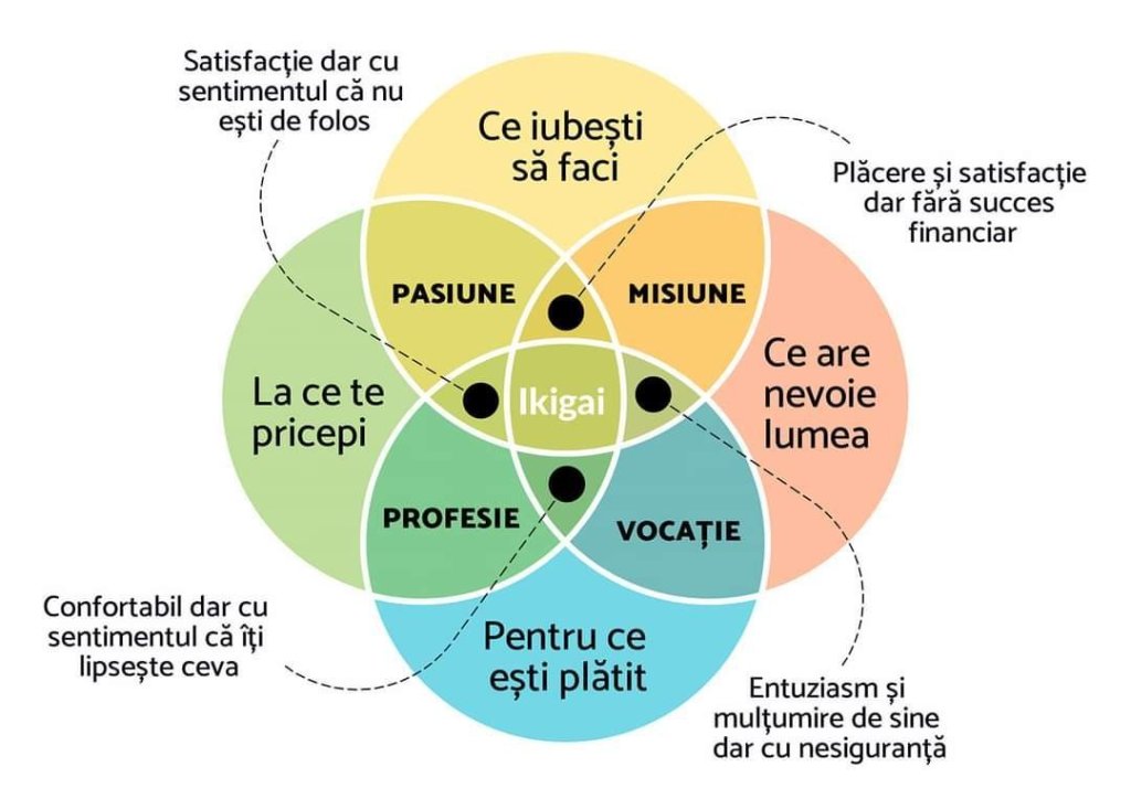 Ikigai este întâlnirea între ce te pricepi, ce iubești să faci, ce are nevoie lumea și pentru ce ești plătit. Între pasiune, misiunea, profesie și vocație. 