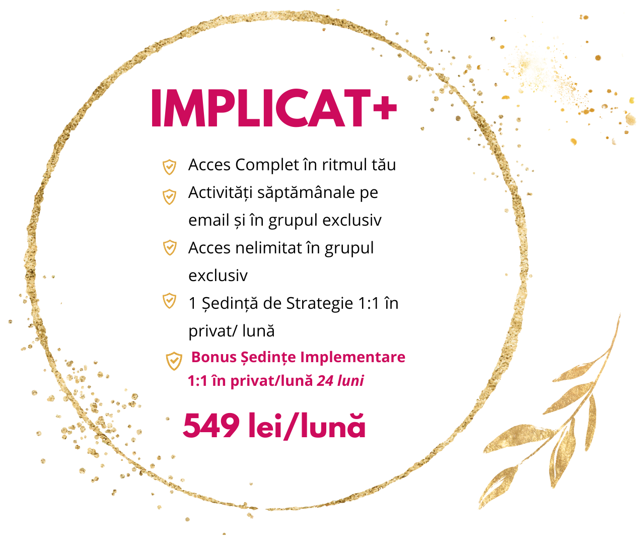 preț curs antreprenoriat creativ pentru afaceri creative Atelierul Inimilor Creative pachetul Implicat