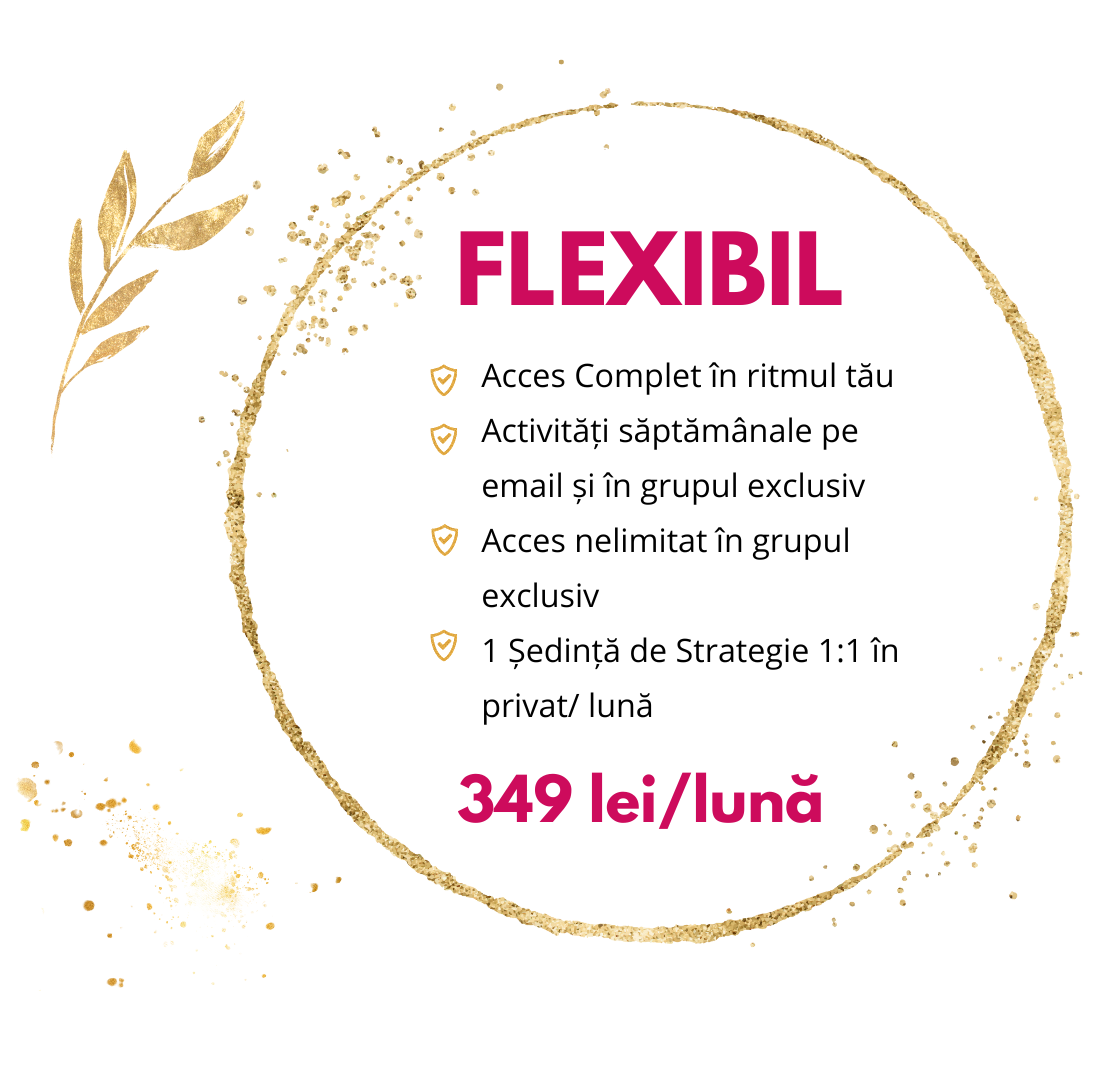 preț curs antreprenoriat creativ pentru afaceri creative Atelierul Inimilor Creative pachetul Flexibil