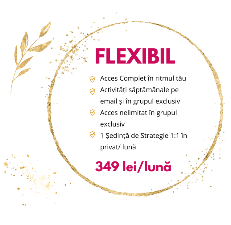 Abonament curs afacere creativa Atelierul Inimilor Creative pentru afaceri creative - varianta Flexibil
