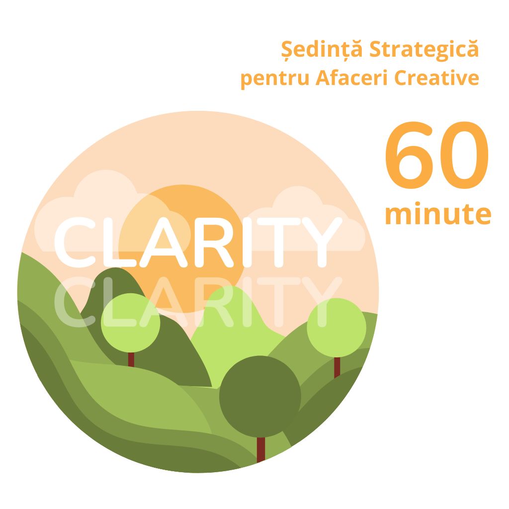 sedinta de strategie afacere creativa clarity cu andrada saftescu